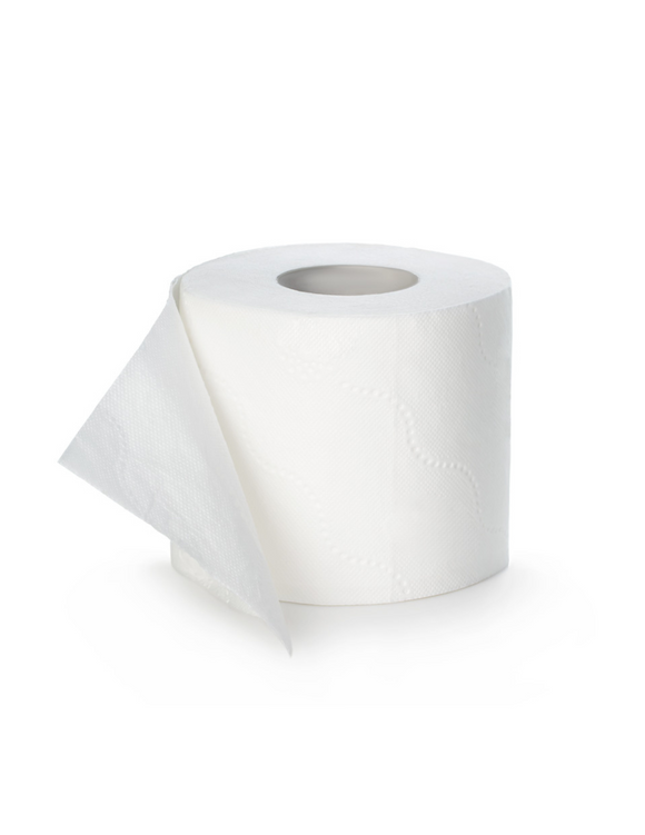 Papier toilette standard blanc 2 épaisseurs, 4x3,8 pouces, 500 feuilles par rouleau, 48 rouleaux par boîte
